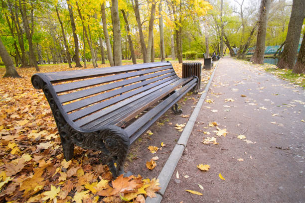 istock Empty wooden bench in autumn park 1329547259