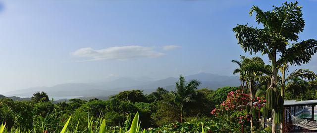 Jamaica Blue Mountain National Park across Annotto Bay in early morning