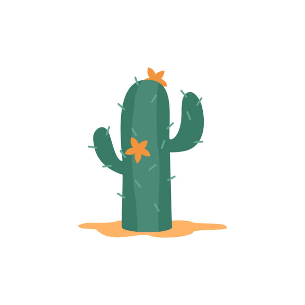 砂漠で成長している緑の野生植物メキシコサグアロサボテンは、ベクトルのイラスト。 - cactus点のイラスト素材／クリップアート素材／マンガ素材／アイコン素材