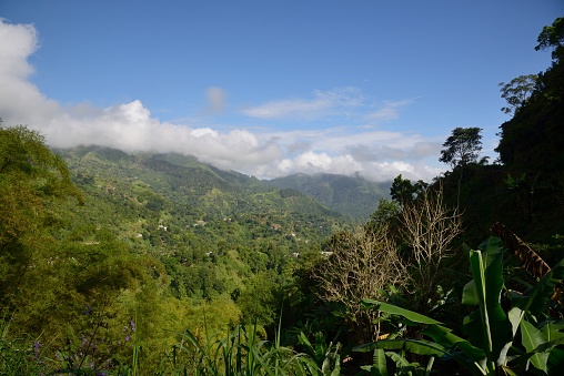 View a mountain village in the Drivers River Valley from Ecclesdown Road, one of Jamaica’s birding hot spots