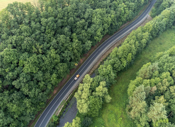 istock Country road with forest from above