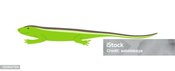 Lizard Vector Simple Side Side View Of Green Lizard With Stripes On Back Flat Vector Illustration ...