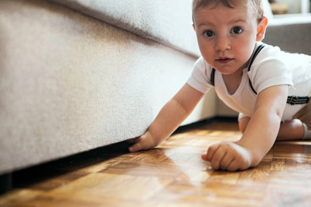 Crawl Under Rugs 100+ Crawling Under House Stock Photos, Pictures & Royalty-Free Images ...