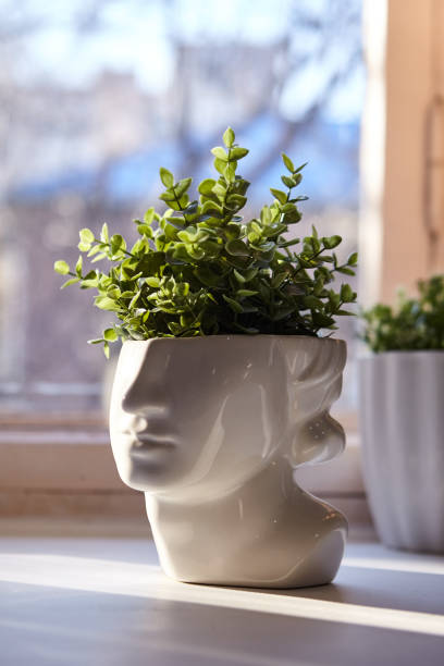istock Vase in the shape of a face with greenery 1329560293