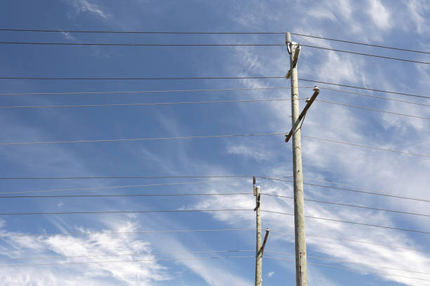 High clouds drift over rows of power lines in Surrey, British Columbia, on a summer morning.