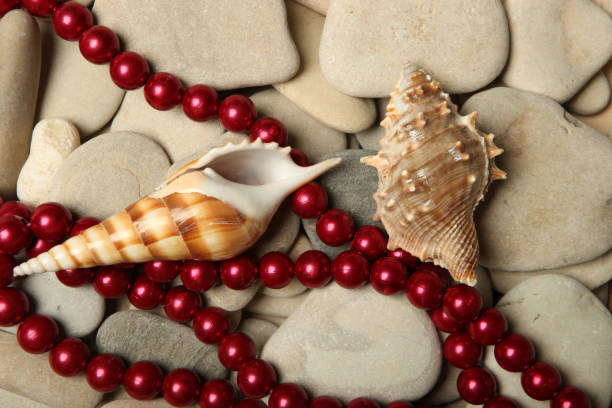 perles de coquillage et de perles rouges sur les pierres. - pearl shell starfish beach photos et images de collection