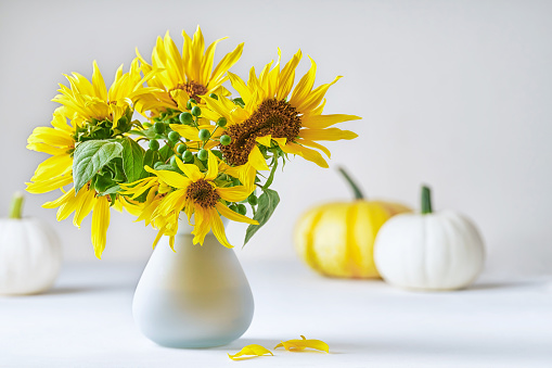 Sunflowers ,Summer, Autumn , Bouquet, Backgrounds