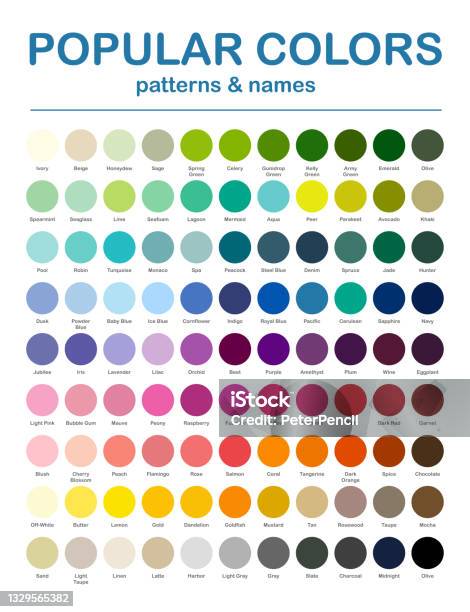 Color Palette Popular Colors Color Chart Patterns And Names Rgb Hex Html Vector  Color Stock Illustration - Download Image Now - iStock