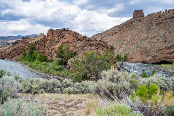 istock The Shoshone River in the Buffalo Bill National Forest 1329569900