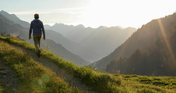 istock Man hikes through grassy meadow in the morning 1329570997
