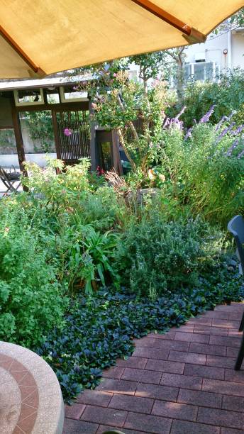 istock A summer gardens in Kobe 1329572404