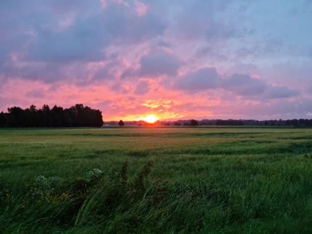 istock sunrise over a field in germany 1329572755