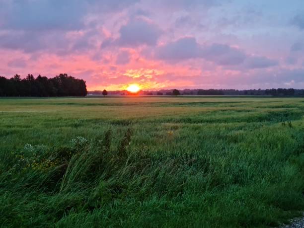 istock sunrise over a field in germany 1329572772