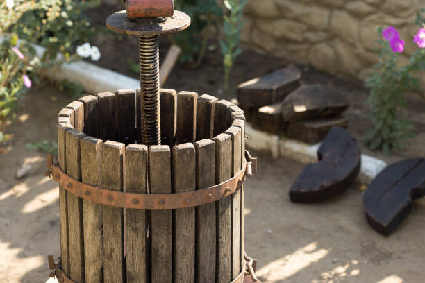 istock Winepress with red must and helical screw. Winemaker's hands close up. 1329572873