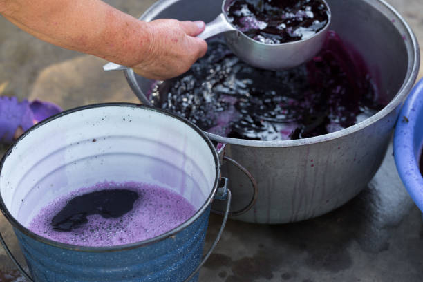 istock Winepress with red must and helical screw. Winemaker's hands close up. 1329572889