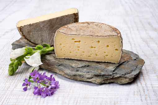 Cheese collection, matured cow cheese with mold tommette de savoie from France, cheese made in Alpine mountains close up