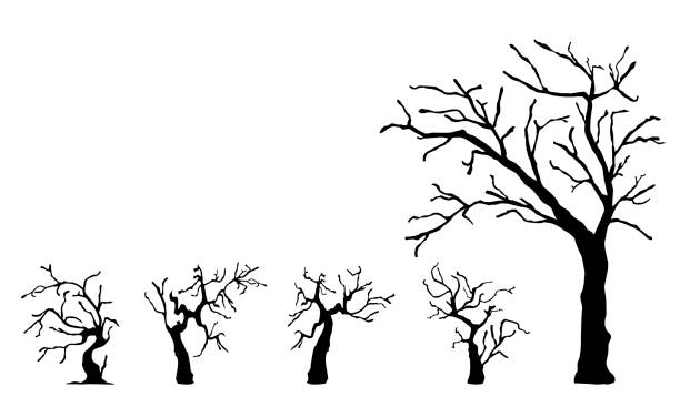 ilustraciones, imágenes clip art, dibujos animados e iconos de stock de conjunto de siluetas de árboles desnudos. árboles de halloween dibujados a mano. - computer graphic image stick tree trunk