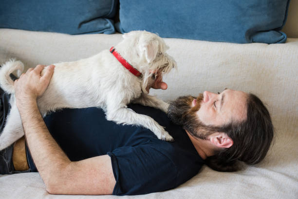 istock Dog play with owner 1329578823