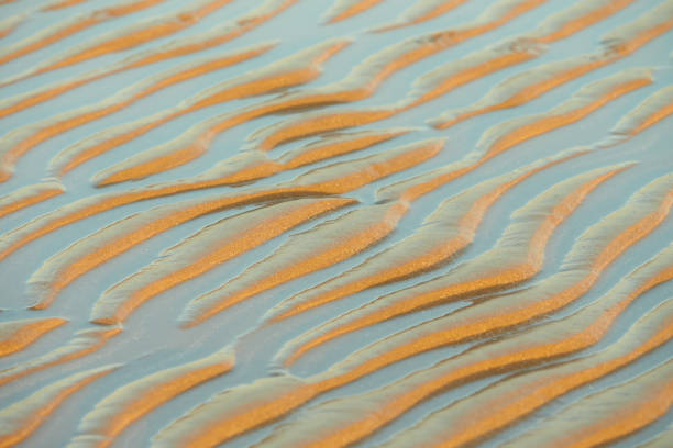 istock Sand waves texture with water on the sea beach. Yellow sand texture for background. 1329581841