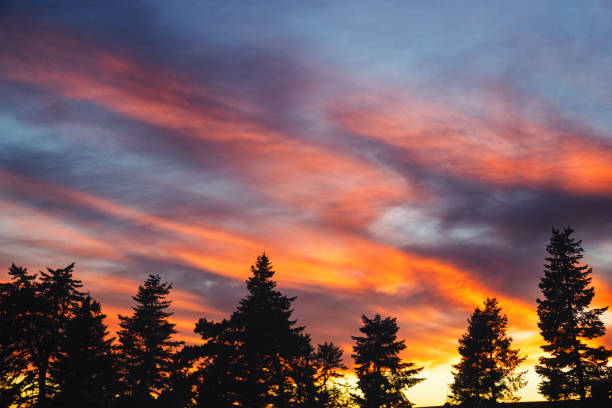istock Mystical Sunset in the Summer 1329582030
