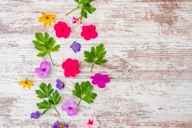istock Fresh flower blossoms on a white board 1329585536