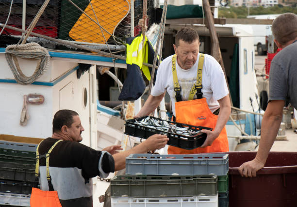 pescatori che smistano il pescato su un molo - fishermen harbor foto e immagini stock