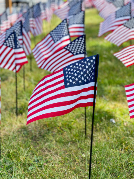 istock Small American flags on a lawn. 1329586554