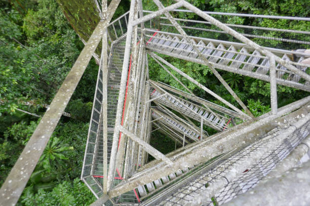 istock Orellana province, Ecuador 1329586680
