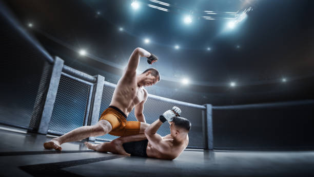Cage. Two fighters are fighting. Punches. Sport action concept. Emotions of winner. Octagon. 3D Cage. Two fighters are fighting. Punches. Sport action concept. Emotions of winner. Octagon. 3D mixed martial arts photos stock pictures, royalty-free photos & images