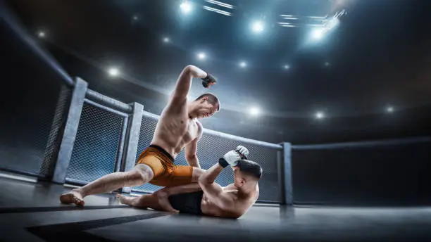 Photo of Cage. Two fighters are fighting. Punches. Sport action concept. Emotions of winner. Octagon. 3D