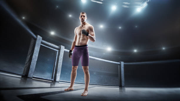 istock Fighter stance. Fighter in the octagon. Athlete. Side view. Sport. 3D 1329588167
