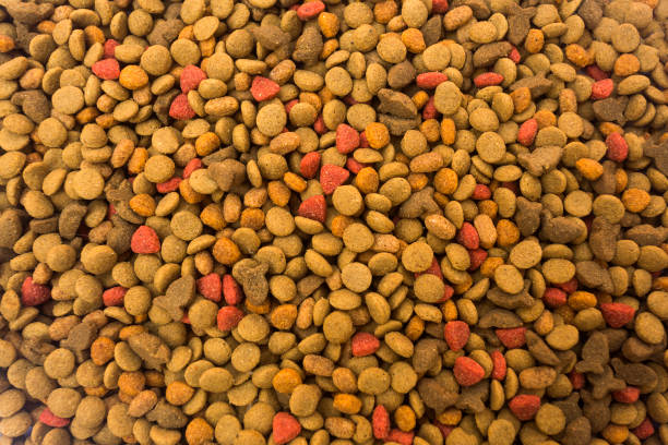 istock Dry nutritional cat food close-up - Top view 1329592209