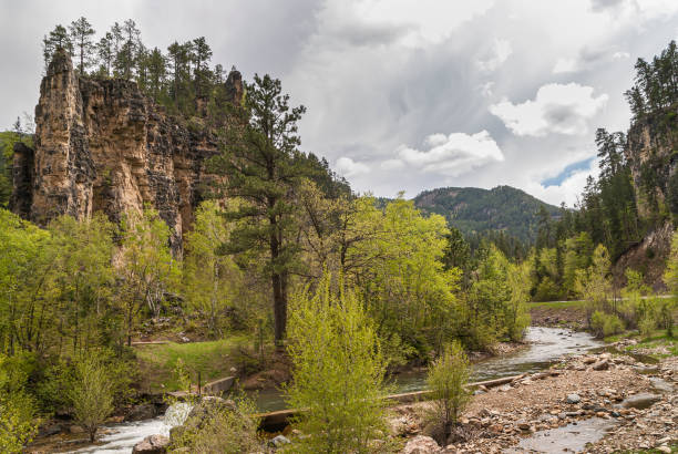 istock Cliff and creeek combination in Black Hills, SD, USA. 1329593199