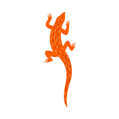 Orange exotic lizard. Wild animal reptile living in wildlife nature. Icon for logo or zoo design. Flat cartoon vector illustration isolated on white