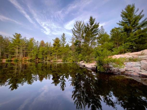 istock Trees and rocks reflecting in lake water 1329595312
