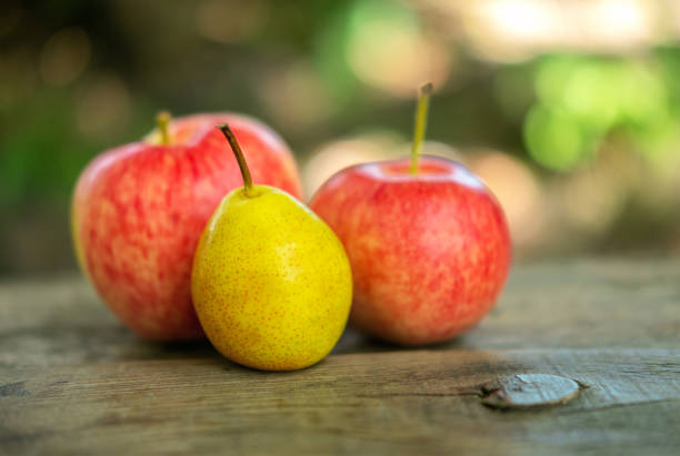 Red delicious apple and Bosc pears under natural window lighting and still life style