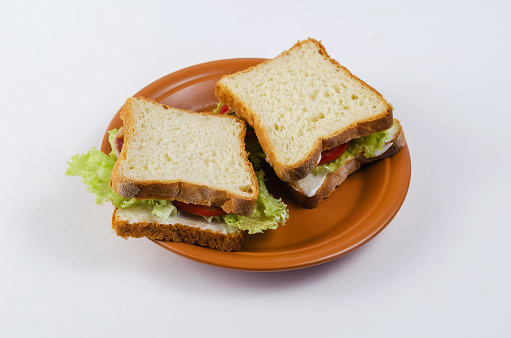 Tuna sandwiches in a brown plate on a white background. Two brown sandwiches with fish, red tomatoes, green lettuce, dill and white sauce. A ready-to-eat meal.
