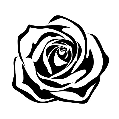Vector black silhouette of a rose flower isolated on a white background.