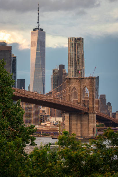 Freedom Tower The Freedom Tower and the Brooklyn Bridge from Brooklyn Bridge Park one world trade center photos stock pictures, royalty-free photos & images