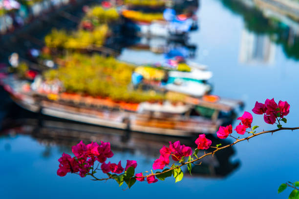 China Shanghai , Zhujiajiao  waterttown. tourist boat
