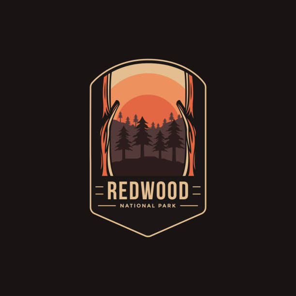 illustrazioni stock, clip art, cartoni animati e icone di tendenza di illustrazione vettoriale patch emblema del redwood national park su sfondo scuro - redwood sequoia california redwood national park