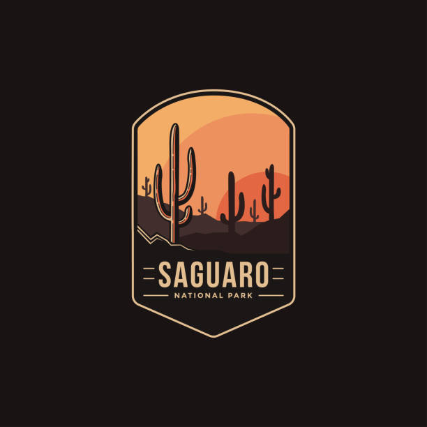 ilustraciones, imágenes clip art, dibujos animados e iconos de stock de ilustración vectorial de parche emblema del parque nacional saguaro sobre fondo oscuro - cactus green environment nature