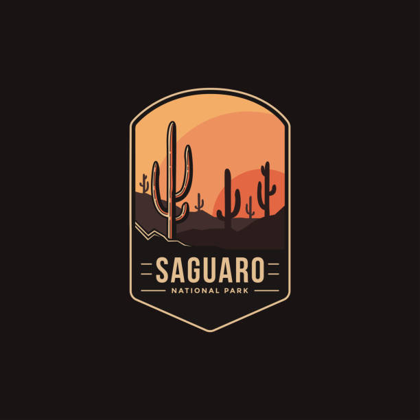 emblem patch wektor ilustracji parku narodowego saguaro na ciemnym tle - sonoran desert illustrations stock illustrations