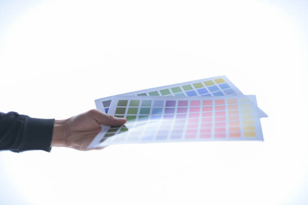 istock Business man hand holding a color test paper table. White backdrop 1329613521