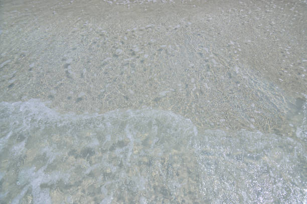 istock Clear sea waves and sandy beaches during the day time 1329617307