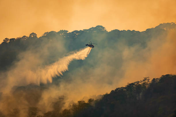 istock Fire fighting helicopter dropping water on forest fire 1329620526