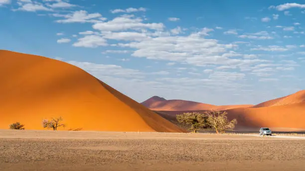 Tourist vehicle next to towering sand dune near Sossusvlei in the Namib-Naukluft National Park, Namibia, Africa.