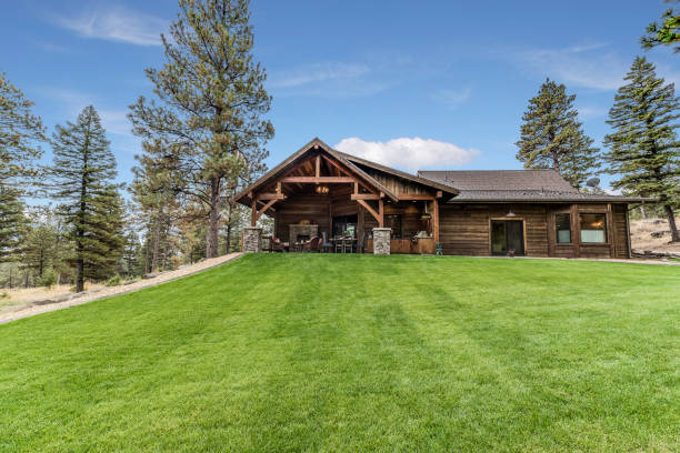 istock Green grass lawn with surrounding trees and wilderness 1329620791