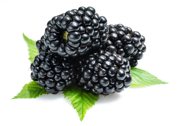 istock Blackberries with blackberry leaves isolated on a white background. 1329621796