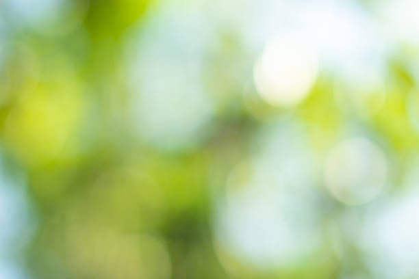 istock Natural light bokeh green circle background 1329623620